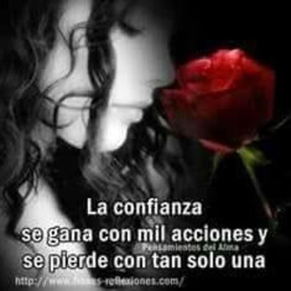 Meet your Posher, Leo - Picture 1 of 1